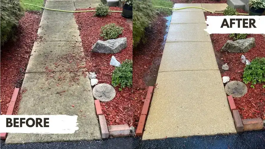 Concrete front walkway between red mulch beds, stained and leaf-littered before, pale and clean after